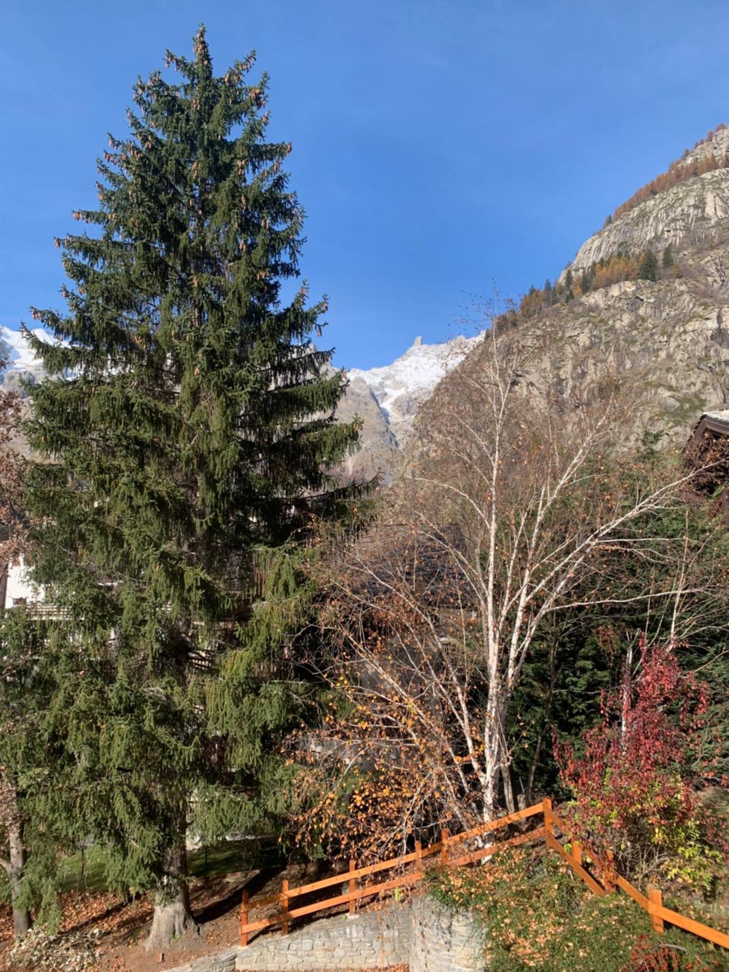 Foyer Grand Ru Daire Courmayeur Dış mekan fotoğraf